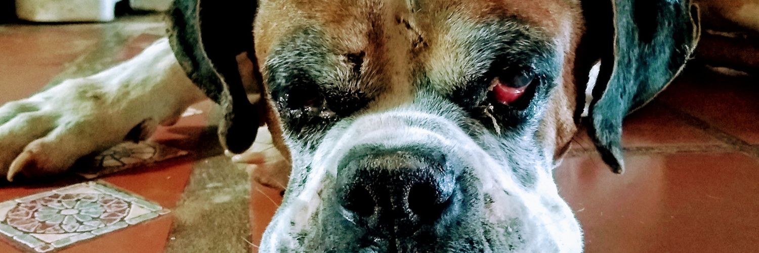 Tomás Cullen banner