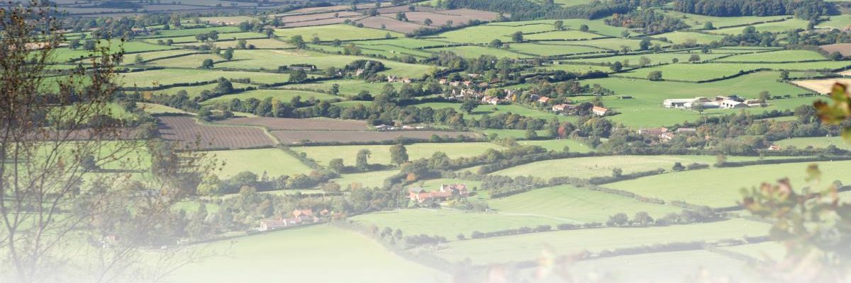 Hambleton District Council banner