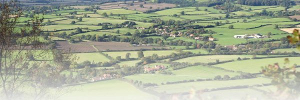 HambletonDC Profile Banner