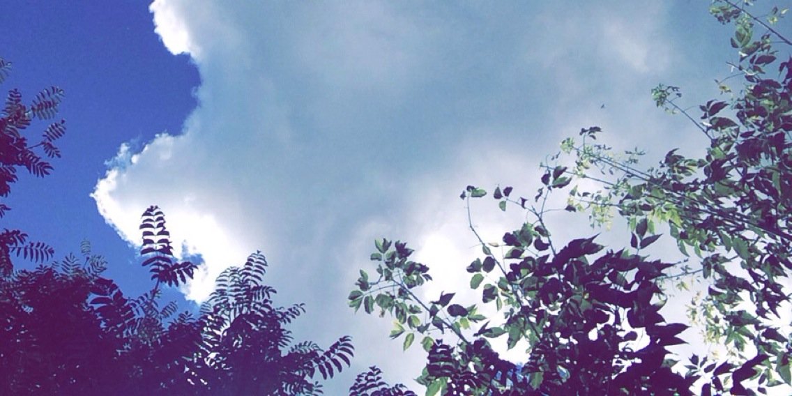 cort_ben's profile banner image
