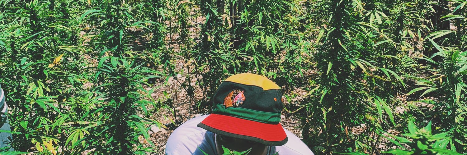 🤮ghoulie🤮 banner