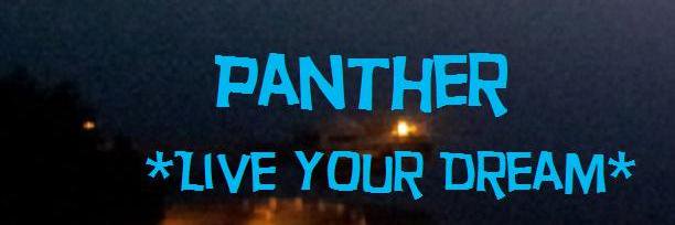 Panther banner