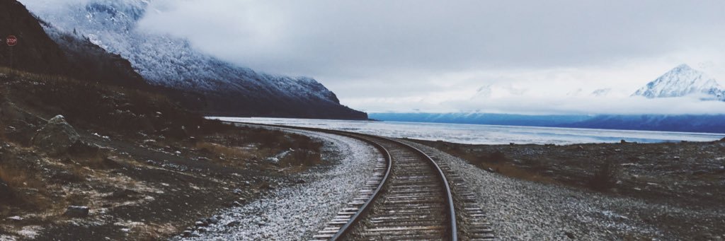 michellescho's profile banner image