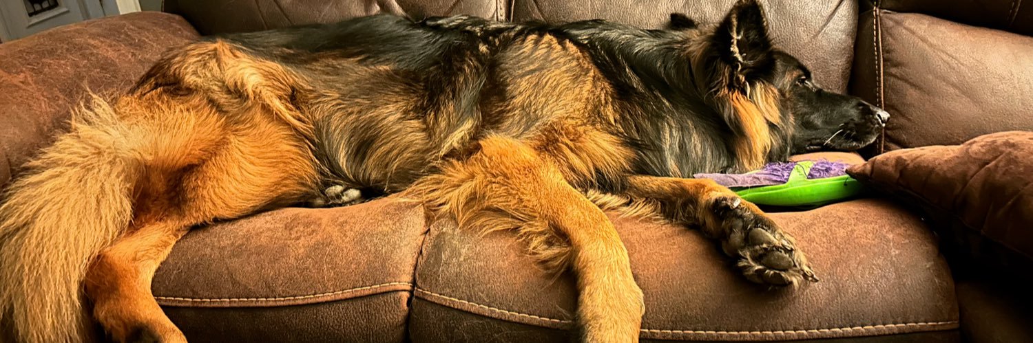 msdean's profile banner image