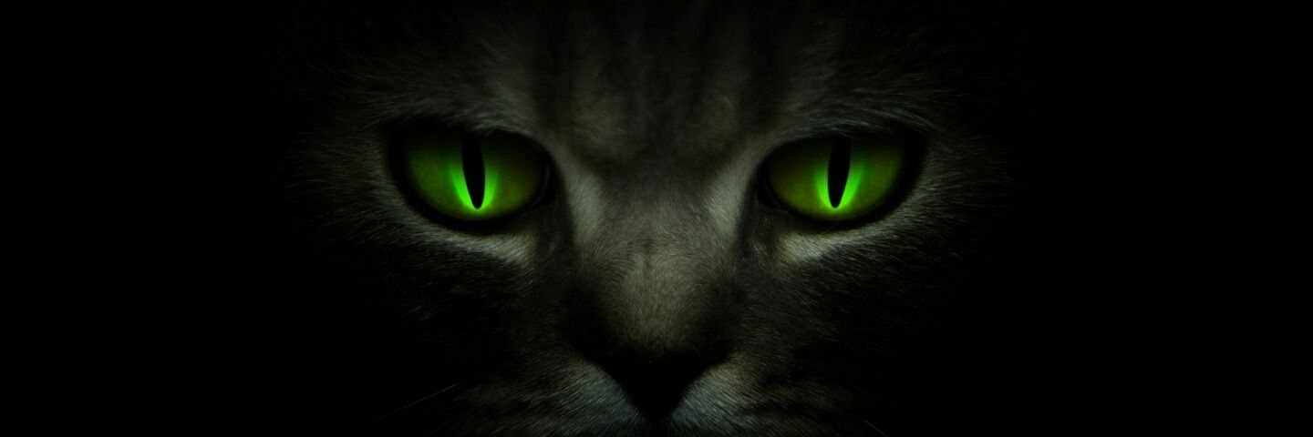 QbyTapia's profile banner image