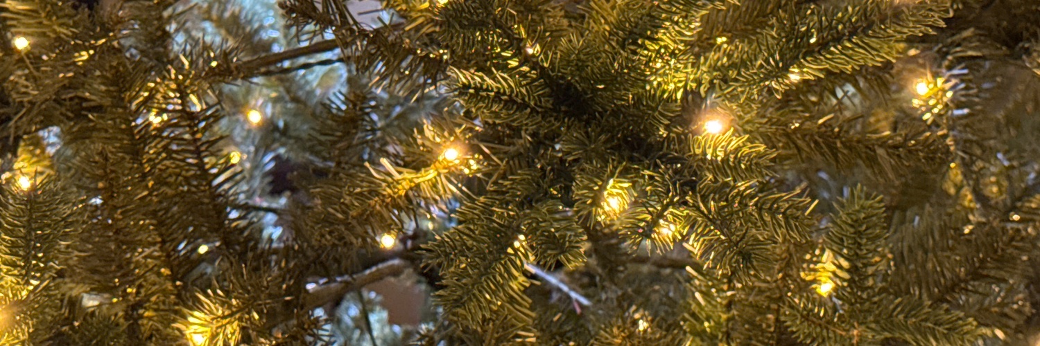 MrWig's profile banner image