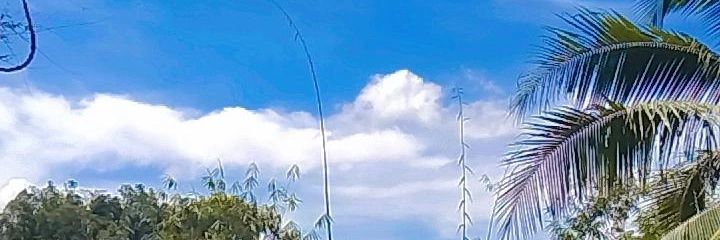 Rahmi_Mustari's profile banner image