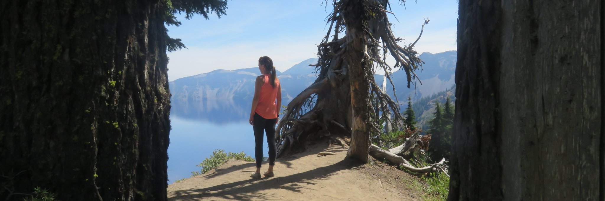 VolunteerJen's profile banner image
