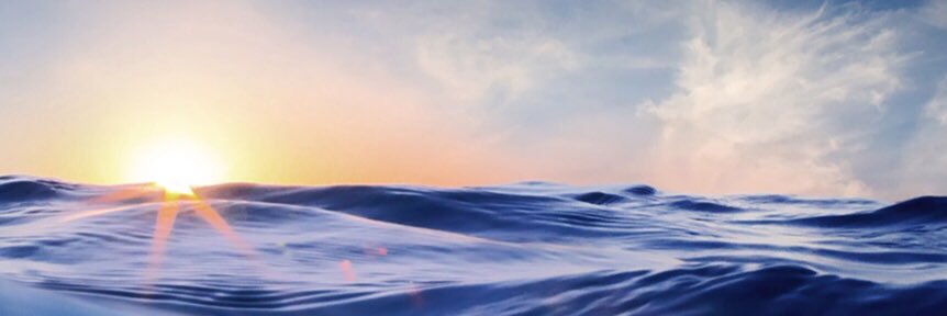 The Sorted Guy 🇮🇳 banner