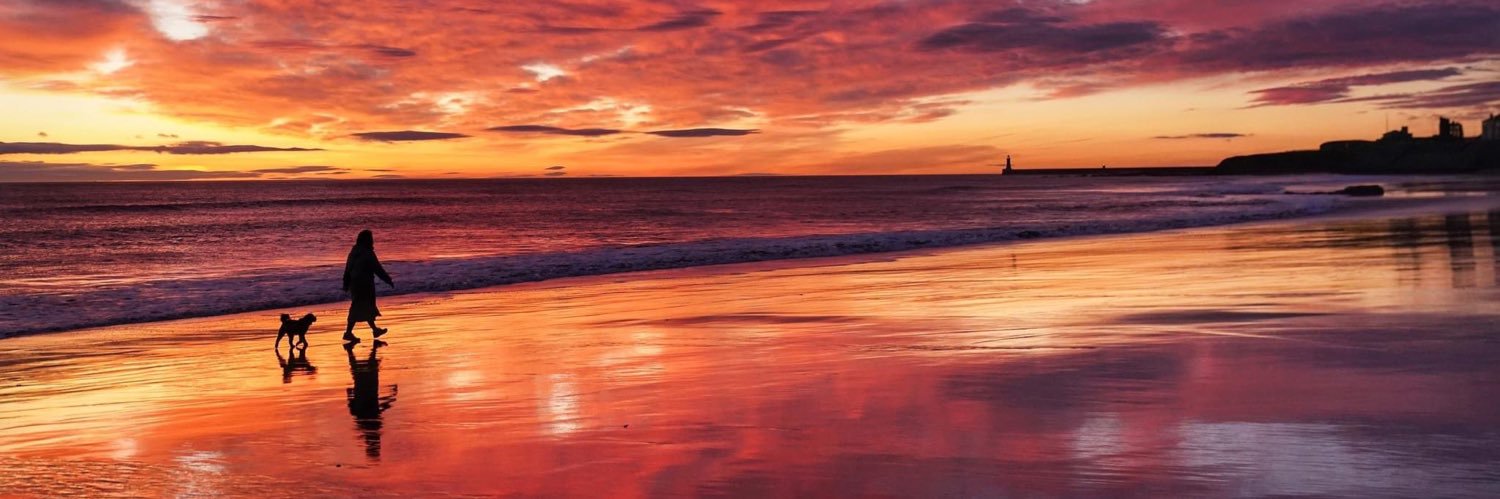 Michelle Beat banner