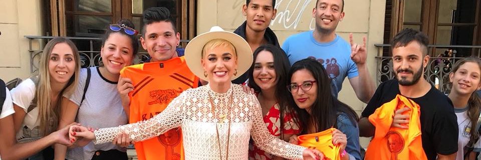 lulyperry's profile banner image