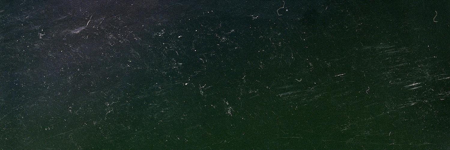 Olga Świątecka banner