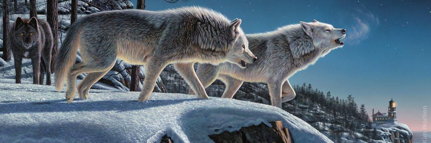 AnimalSher's profile banner image