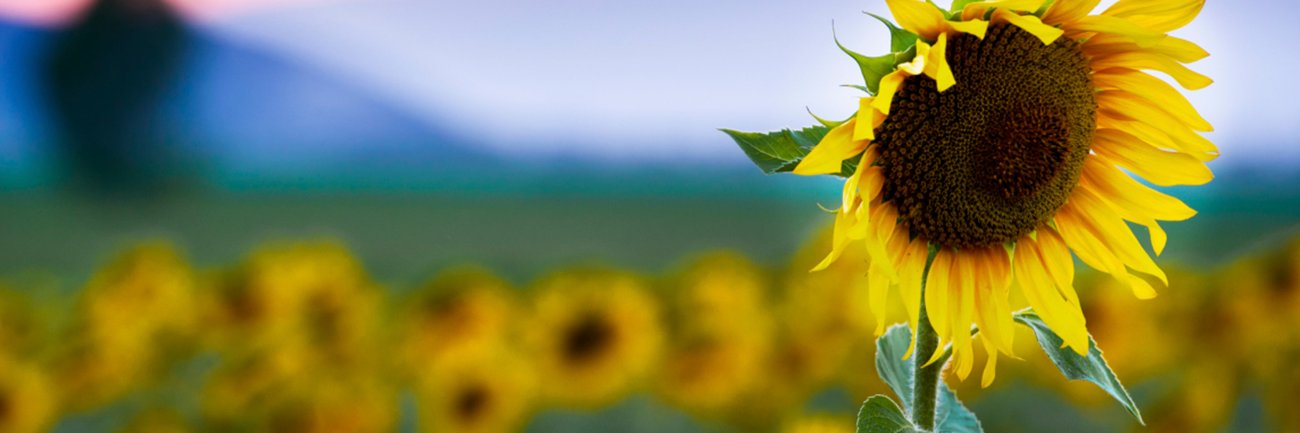 The Eventful Group banner