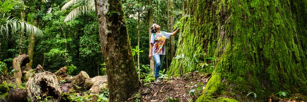 thomflint Profile Banner