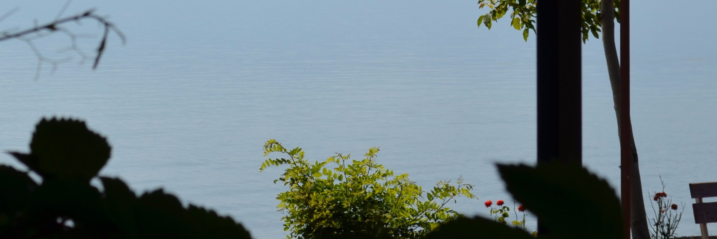 panker205's profile banner image