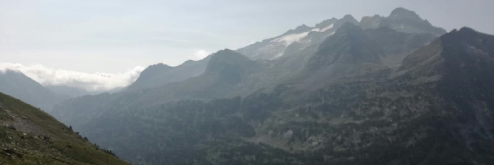 encardc's profile banner image
