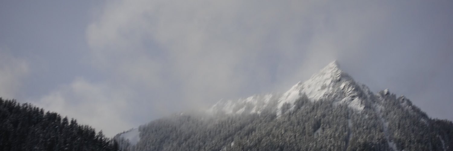 tomonbelay's profile banner image