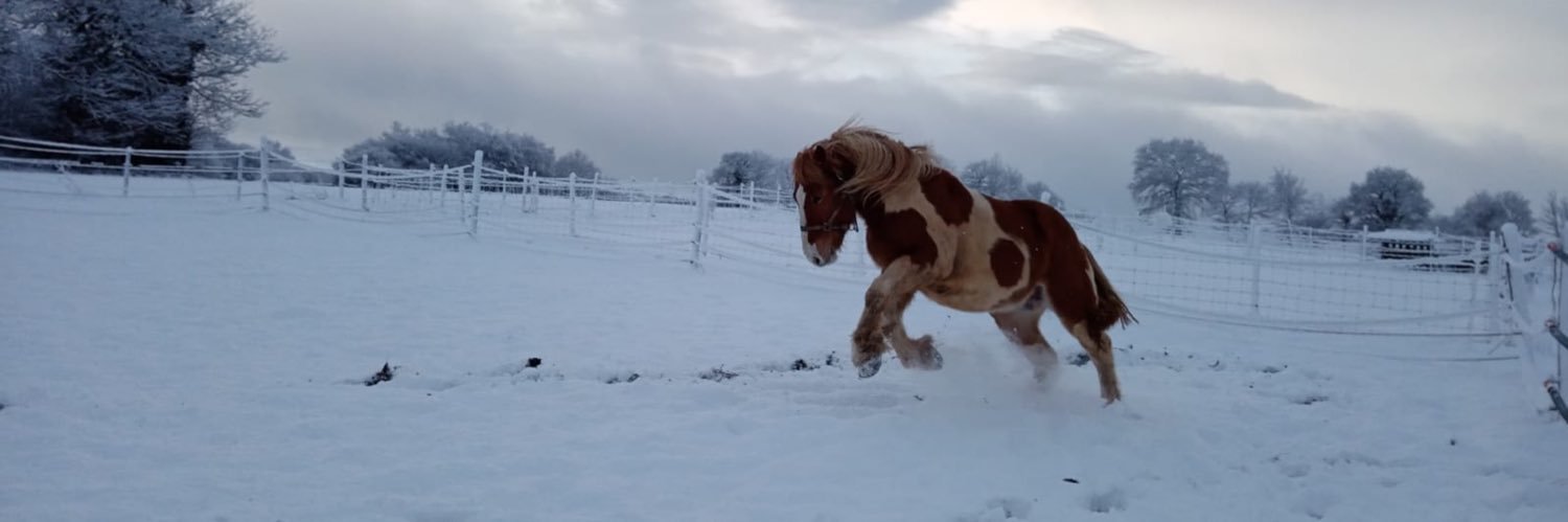 Emily Williams banner