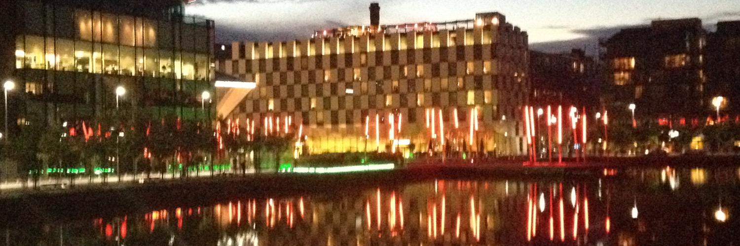 Punctualpolly banner