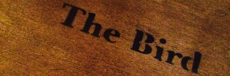 thebirdinberlin's profile banner image