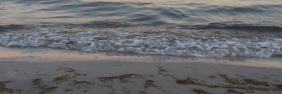 BeckmanEwa's profile banner image