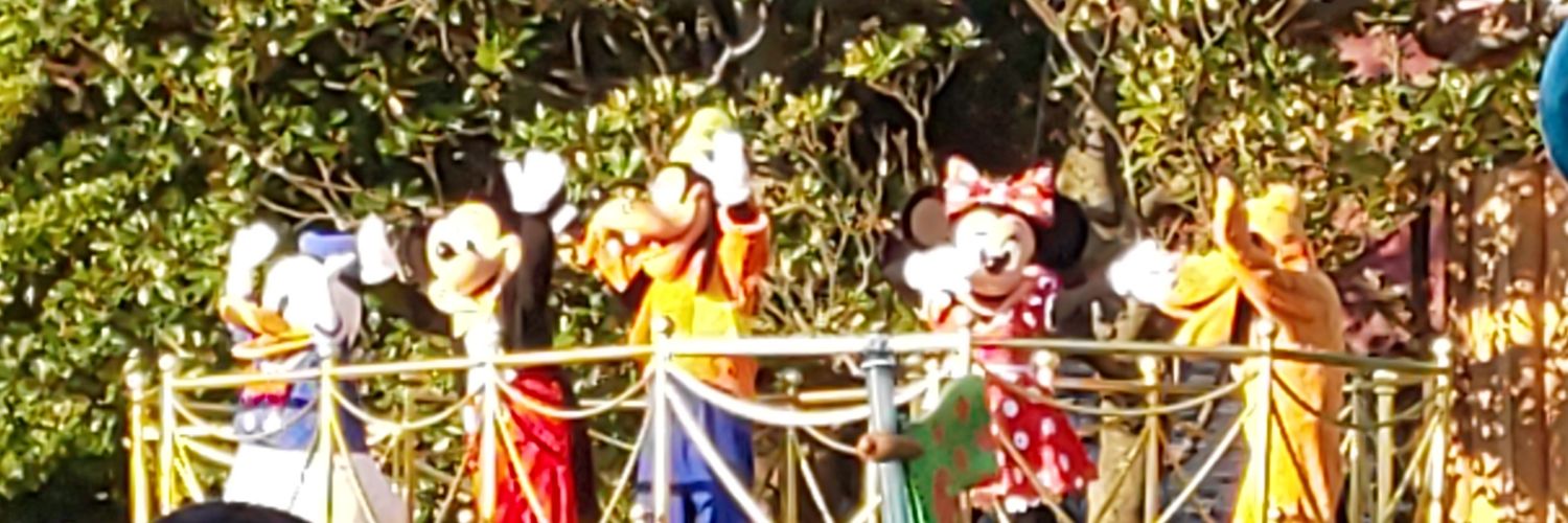 rinapippi's profile banner image