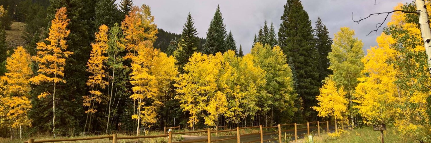 Thomas Betts (ThomasBetts@hachyderm.io) banner