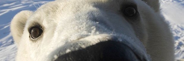 mmadson's profile banner image