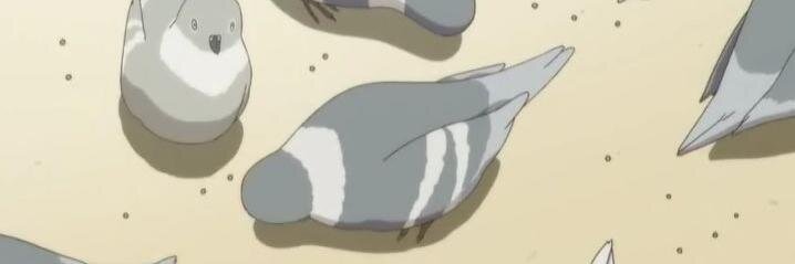 yukiobot's profile banner image