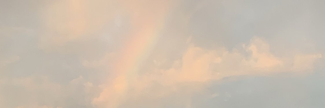 🐼 banner