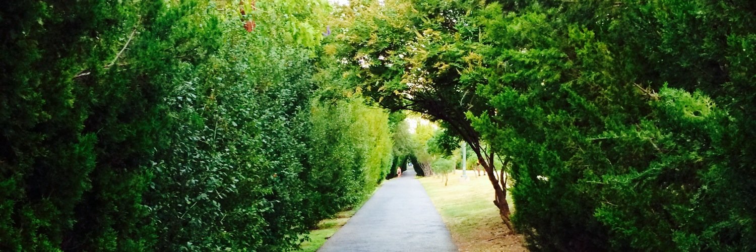 suzannehowley's profile banner image