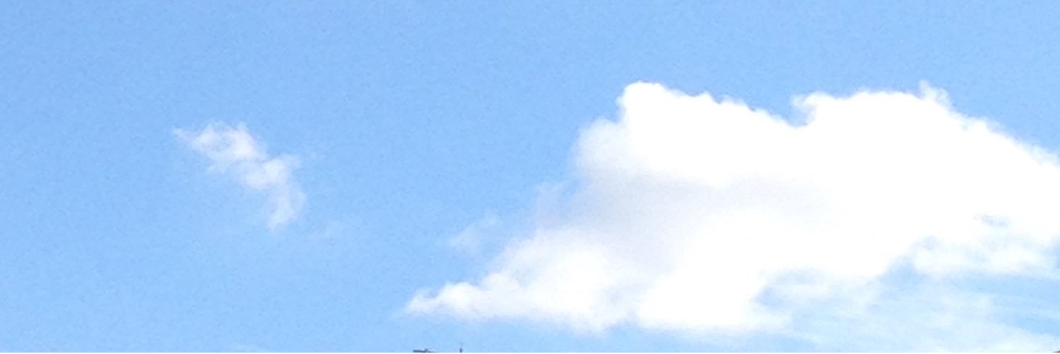 pansumire's profile banner image