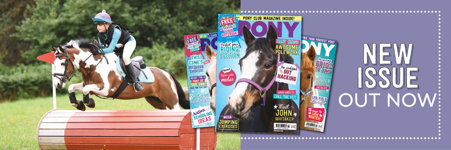 PONY magazine banner