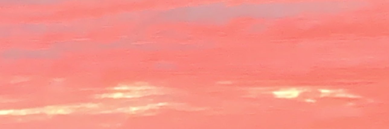 ReneeC327's profile banner image