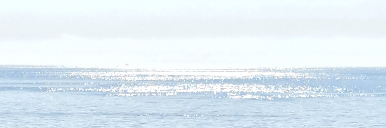 michikirie's profile banner image