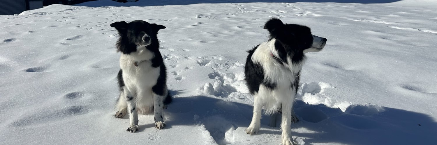 田中よしひと banner