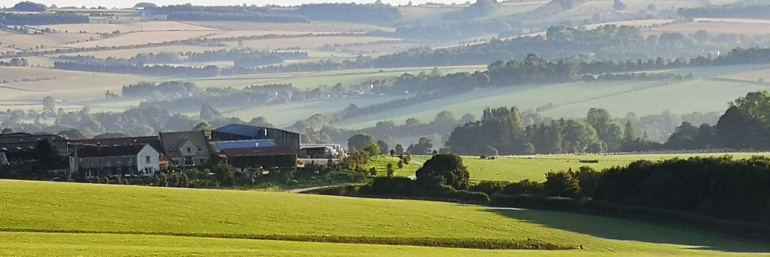 Kim Bailey & Mat Nicholls Racing banner