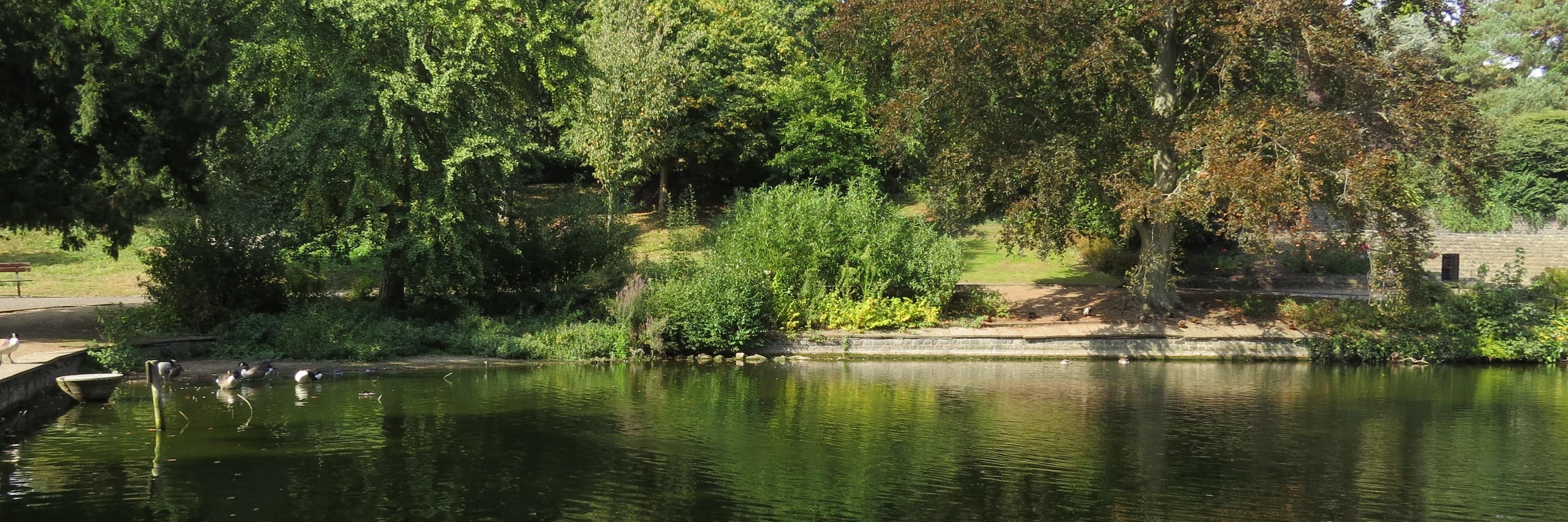 Richard Latteman banner