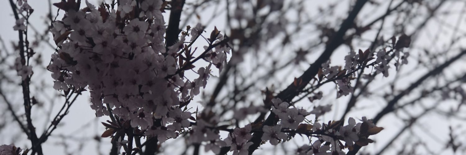 zzey34's profile banner image