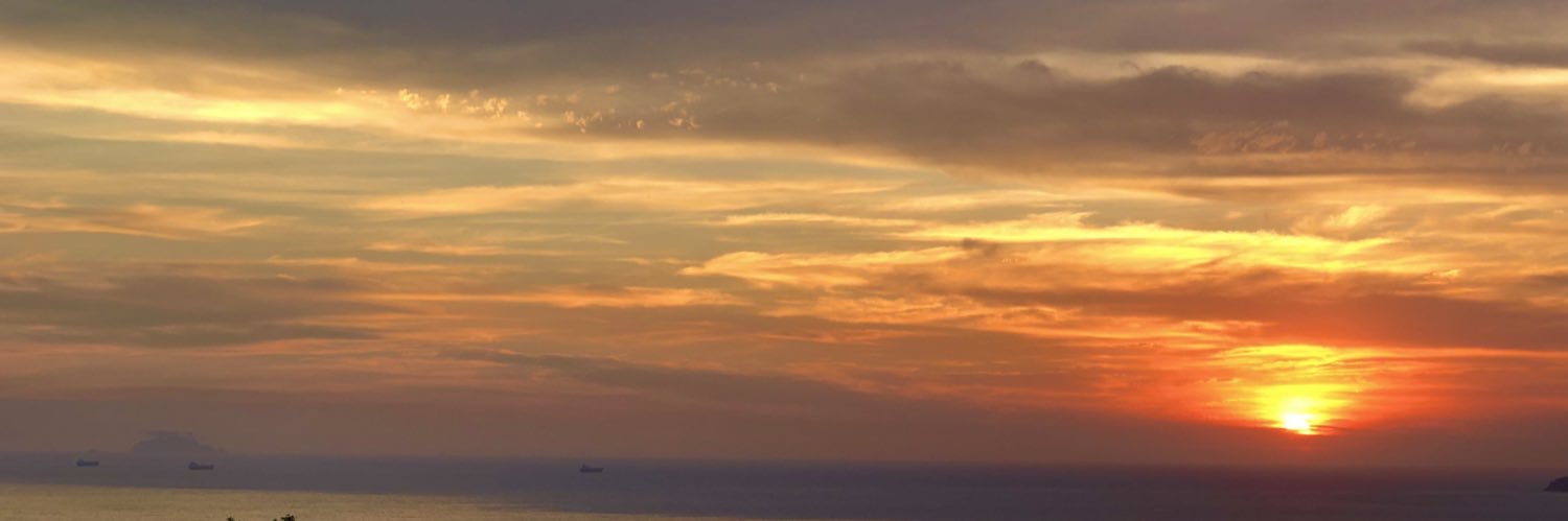 carolinaluco's profile banner image