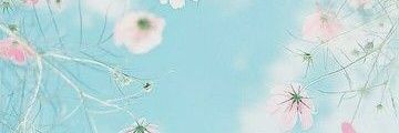 inindipo's profile banner image