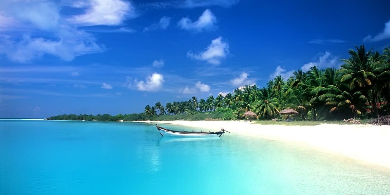 Stephen Clapp banner