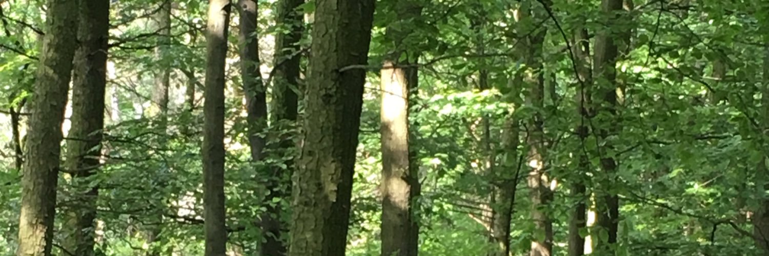 Emma Cheshire banner