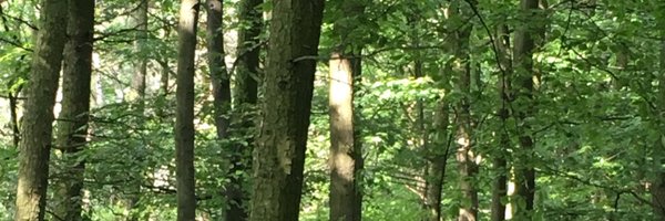 germinates Profile Banner