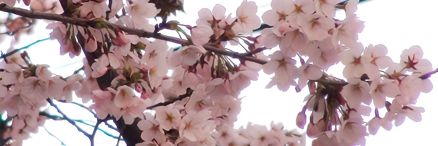 シルクエンターテイメント banner