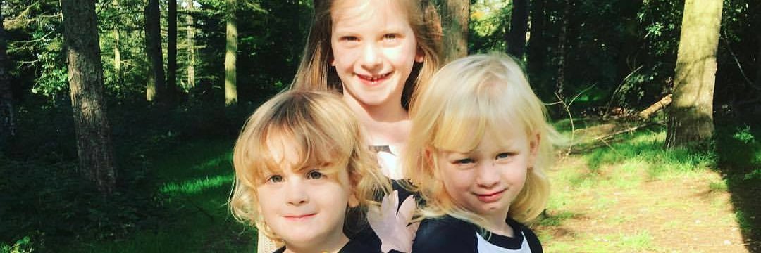 Louise Styles 🦋 banner