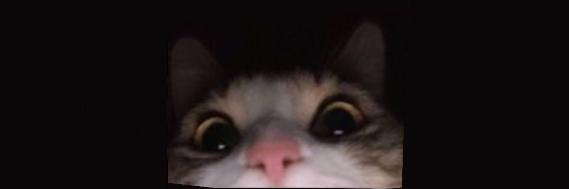 ninhaegrt's profile banner image