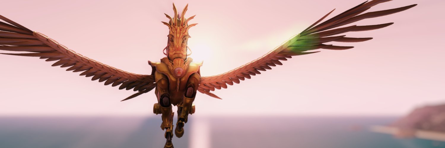 limitless ham banner