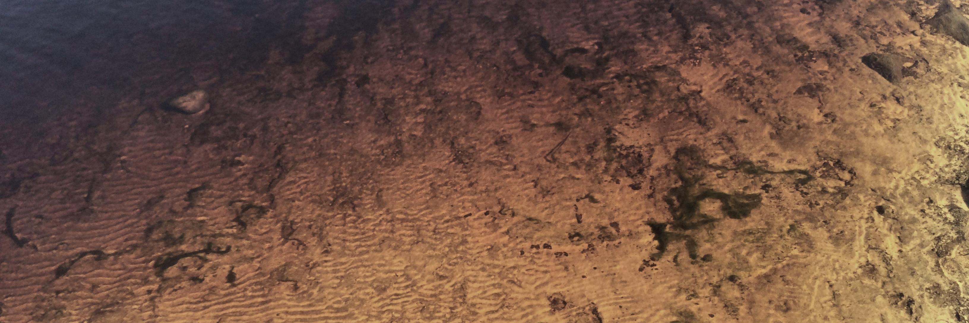 dayfeels's profile banner image